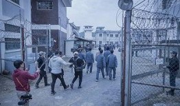 判狱无间 在线观看,揭秘黑暗囚笼中的生存法则